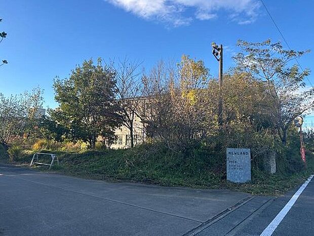 NEWLAND（約440m）