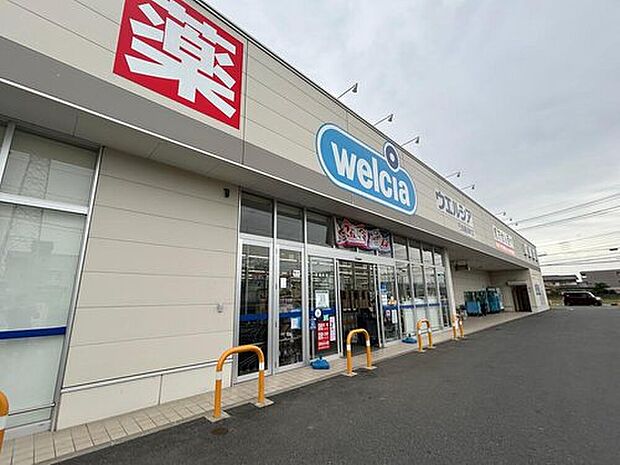 ウエルシア行田棚田町店（約750m）
