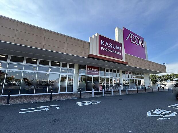 カスミイオンタウン上里店（約1,030m）