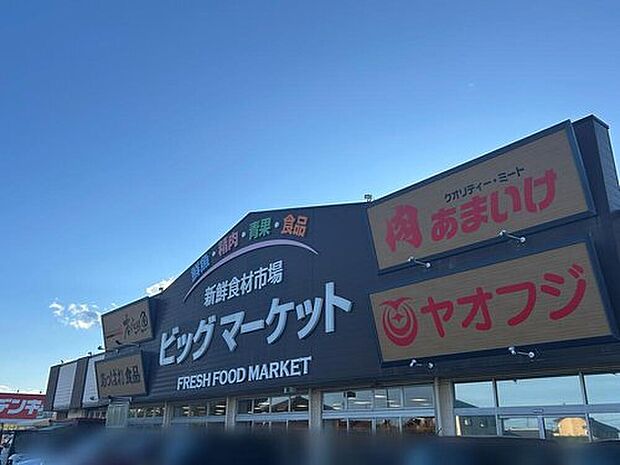 新鮮食材市場ビッグマーケット 本庄鮮魚(約800m)
