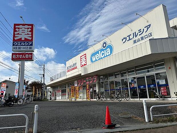 ウエルシア嵐山東口店(約500m)