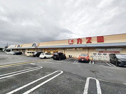 カスミ花崎店 1260m (徒歩16分/車3分)
