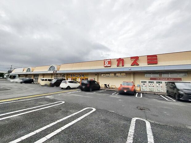 カスミ花崎店（約1,260m）