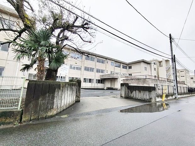 熊谷市立三尻中学校（約550m）