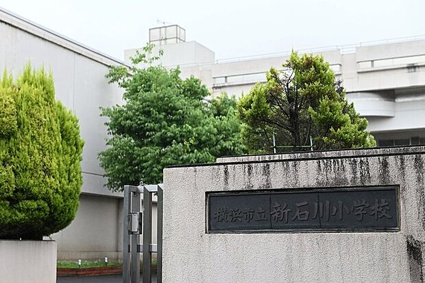 横浜市立新石川小学校（約1,000m）