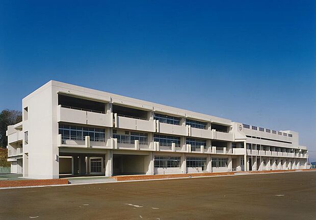 横浜市立いぶき野小学校（約570m）