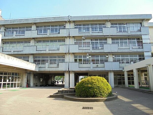 横浜市立東市ケ尾小学校（約270m）