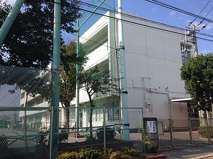 横浜市立市ケ尾中学校 850ｍ