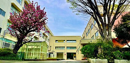 横浜市立馬場小学校 290ｍ