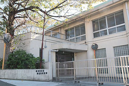 横浜市立菊名小学校 800ｍ