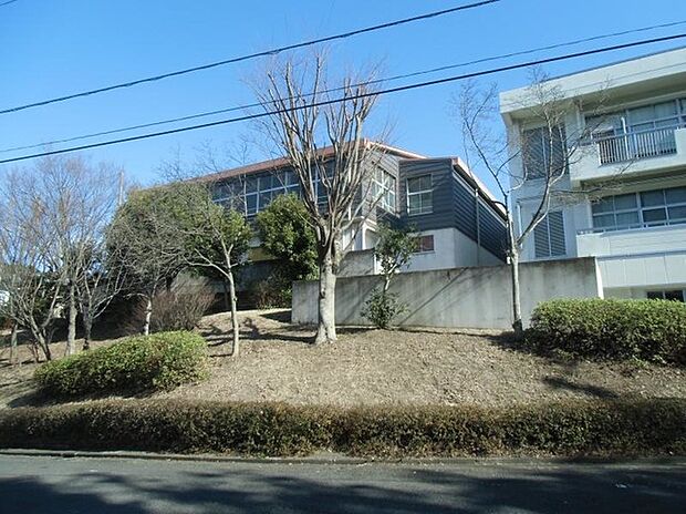 横浜市立新田小学校（約1,600m）