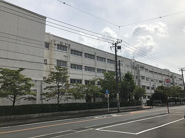 横浜市立新田中学校（約600m）