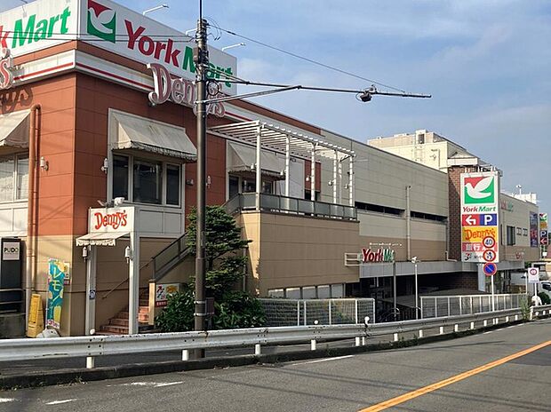 ヨークマート妙蓮寺店（約800m）