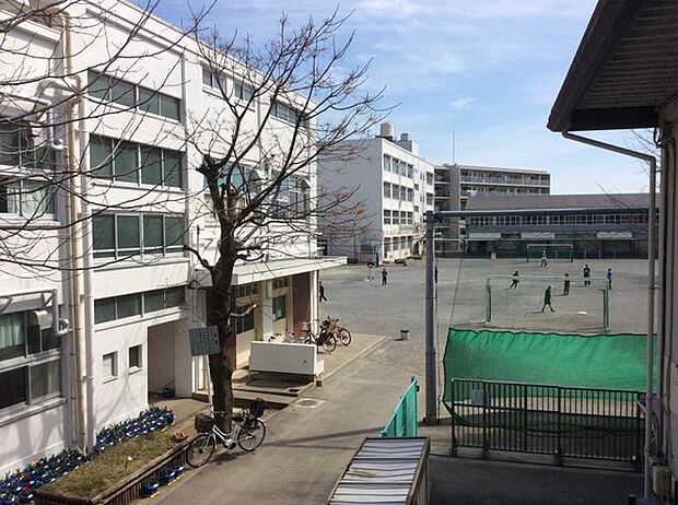 横浜市立神橋小学校(約600m)