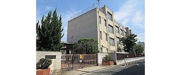 大阪市立加美南部小学校(約400m)