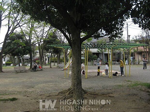 王禅寺公園（約300m）