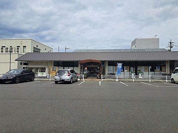 フレスコ向陽店(約1,010m)