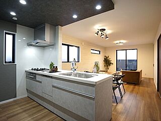 Frontier Gardens　堺市堺区中安井町２丁　新築一戸建て　全１区画 その他