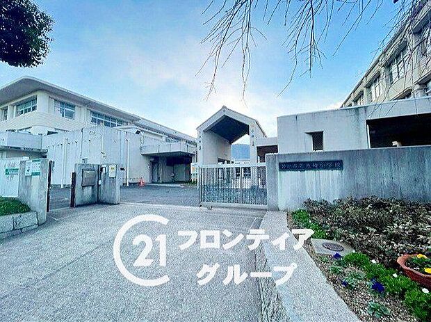 神戸市立魚崎小学校(約550m)