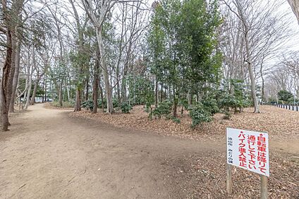 松ヶ丘３号散策の森 510m