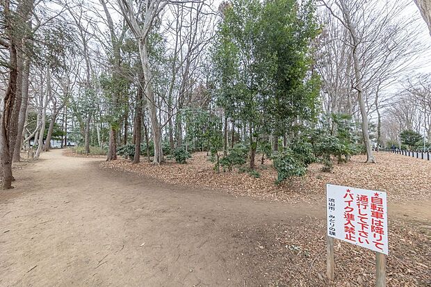 松ヶ丘３号散策の森（約510m）