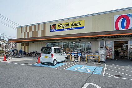 ドラッグストア マツモトキヨシ 西平井店 620m
