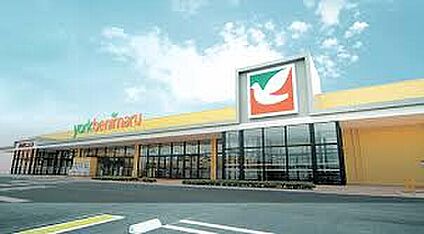 ヨークベニマル 674ｍ(徒歩9分)