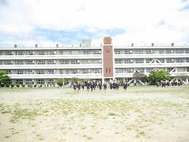 水戸市立城東小学校（約600m）