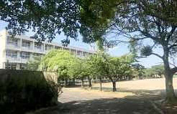 石川中学校