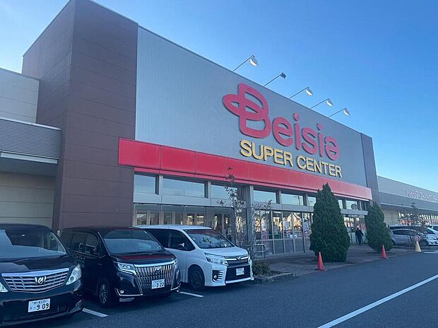 ベイシア木更津金田店（約1,500m）