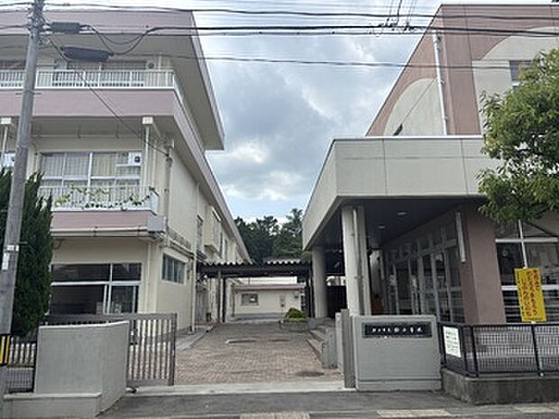 郡山市立桜小学校まで徒歩7分(500m)全校児童数523名(令和7年現在)「よく考える子ども」「思いやりのあるたくましい子ども」「健やかな子ども」を教育目標に掲げ、指導を行っています。