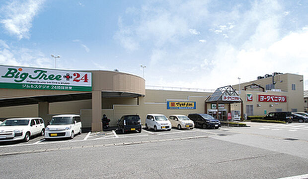 ヨークベニマル