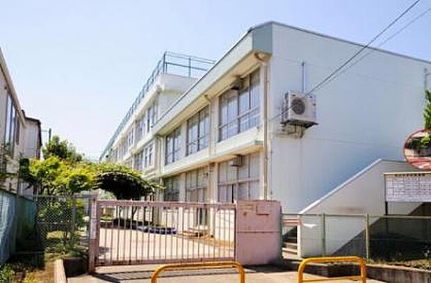 練馬区立向山小学校(約664m)