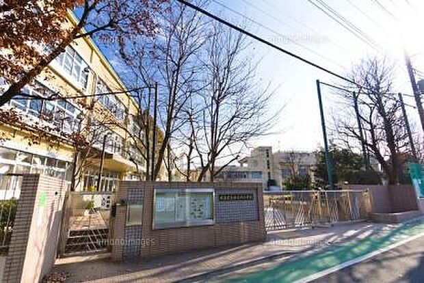 杉並区立堀之内小学校(約639m)