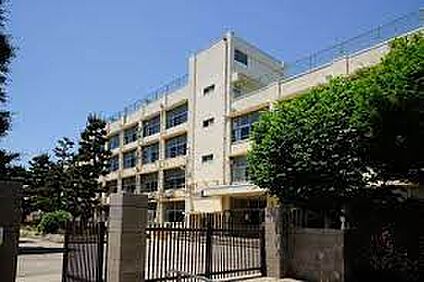 練馬区立開進第二中学校 1072m