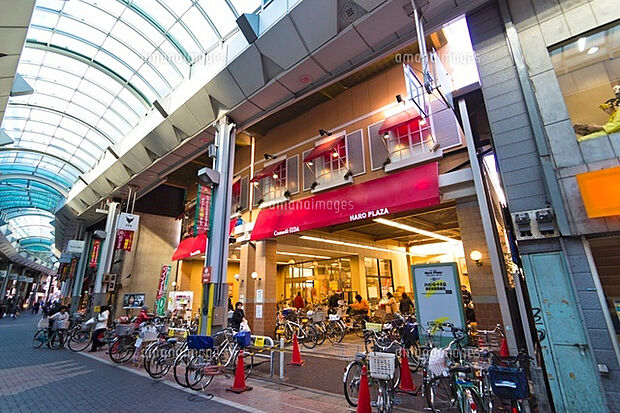 コモディイイダ ハッピーロード大山店（約647m）
