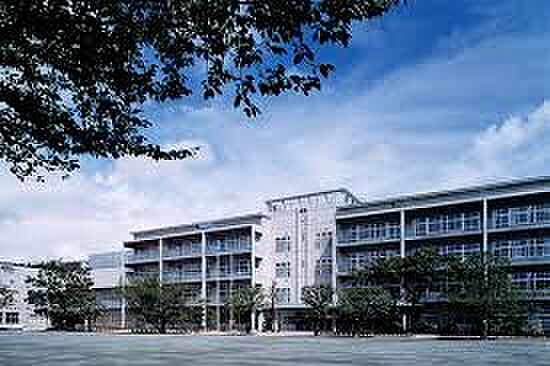 世田谷区立船橋小学校（約859m）