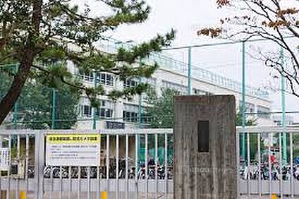 杉並区立富士見丘小学校 1629m