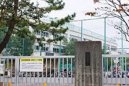 杉並区立富士見丘小学校(約1,629m)
