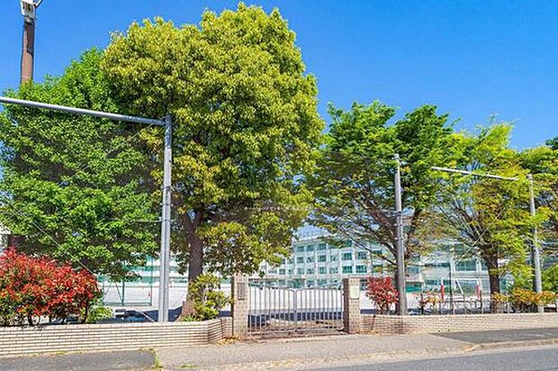 江戸川区立松江第四中学校（約800m）