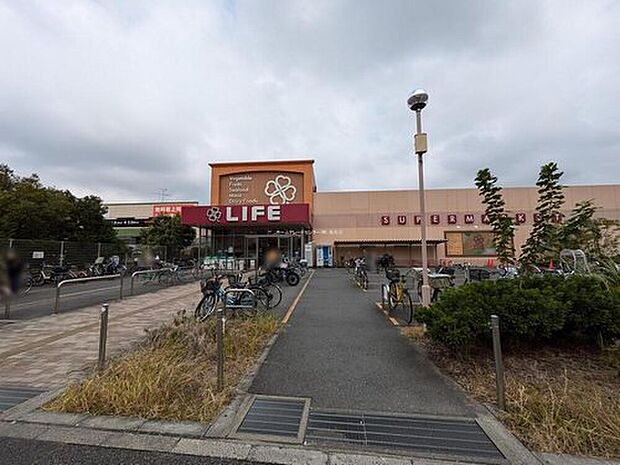 ライフ奥戸店(約800m)