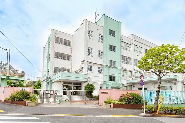 江戸川区立新田小学校（約500m）