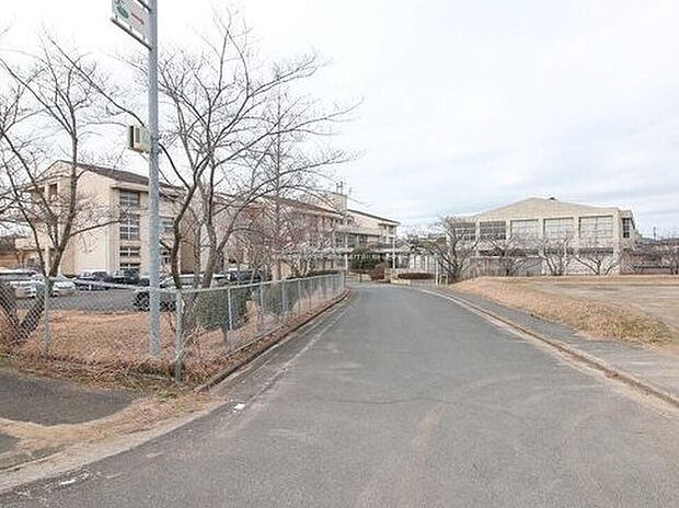 成田市立神宮寺小学校（約500m）