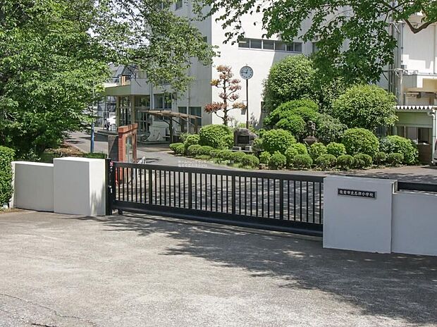 佐倉市立志津小学校（約900m）