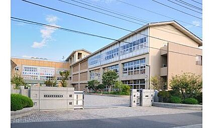 三郷市立新和小学校 946ｍ(徒歩12分)