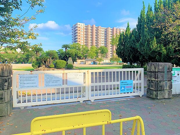 武小学校(約228m)
