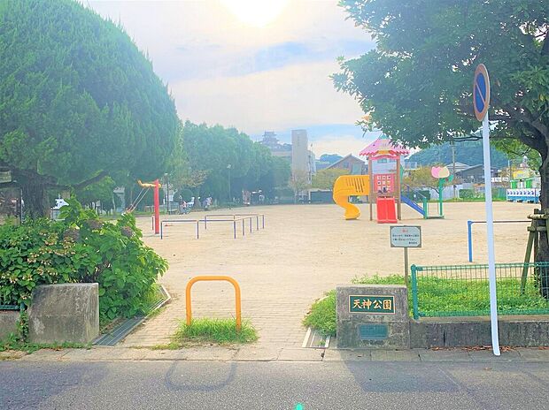 天神公園(約600m)