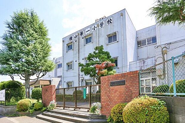 八王子市立横山第一小学校（約1,100m）