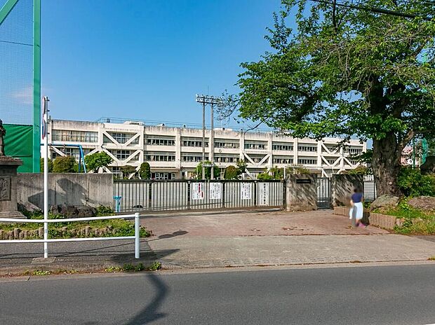 あきる野市立西秋留小学校（約950m）