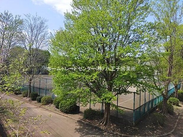 東めじろ台緑地（約564m）